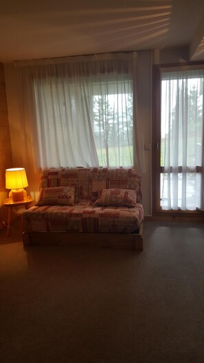 TV, books - STUDIO D6 on skis "Hameau de Creve Coeur" (Les Avanchers-Valmorel)