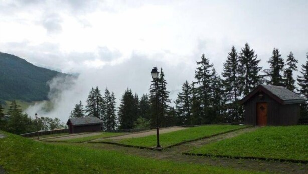 Eine rustikale Holzhütte mit einer Holztür, umgeben von einem gepflegten Rasen und hohen Nadelbäumen.