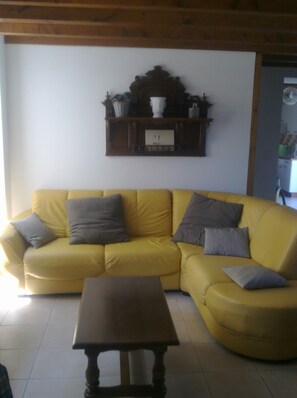 TV, fireplace - Gite with private pool in savigné (Savigné)