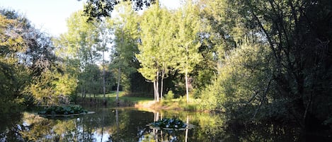 Enceinte de lâhĂ©bergement