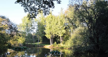 Gite with private pool in savigné