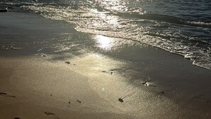 Une plage où l’on voit des empreintes de pas dans le sable et le soleil se reflétant sur l’eau.