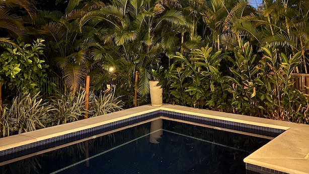 Une piscine dont les bords sont recouverts de carreaux, entourée d’une végétation tropicale luxuriante et de palmiers.