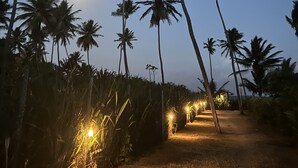 Un sentier bordé de palmiers et illuminé de petites lumières, qui mène à un plan d’eau.