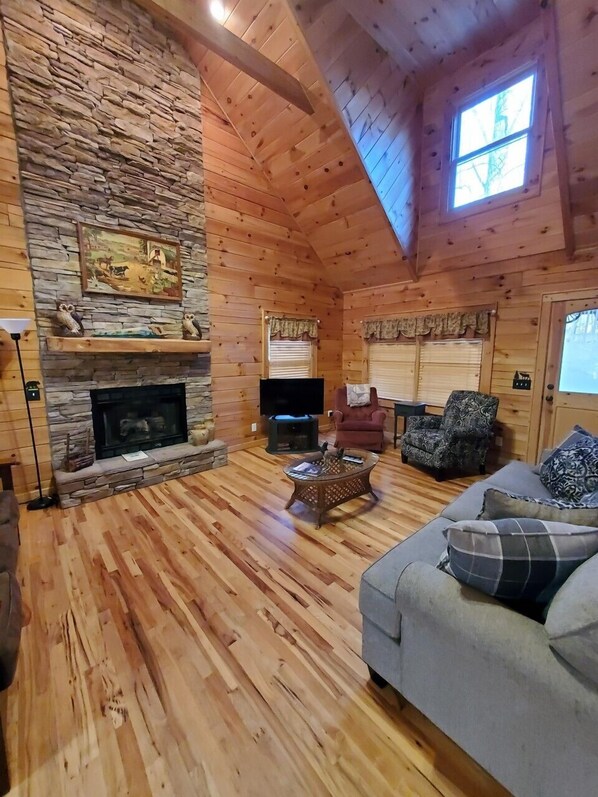 TV, DVD player - Kick Back Cabin- Pet Friendly Cabin in Maggie Valley (Maggie Valley)