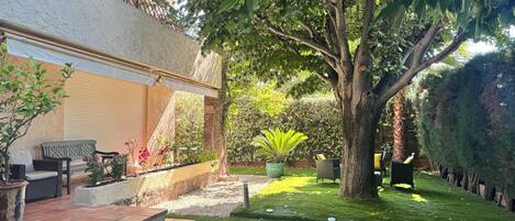 A courtyard with a tree, a bench, and a potted plant.