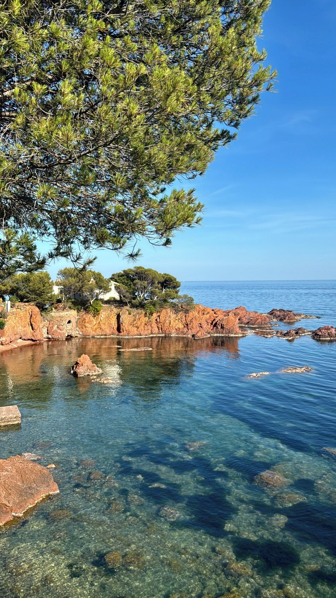 A coastal scene with clear water, rocky shore, and trees.