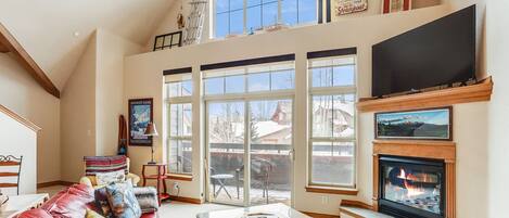 TV, fireplace, DVD player, books