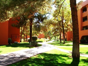 Property grounds - HUGE 1BR!! WiFi, Pools, Fitness! Walk to golf, shops, restaurants (Phoenix)