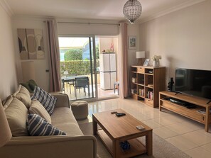 Smart TV, DVD player, books, video library