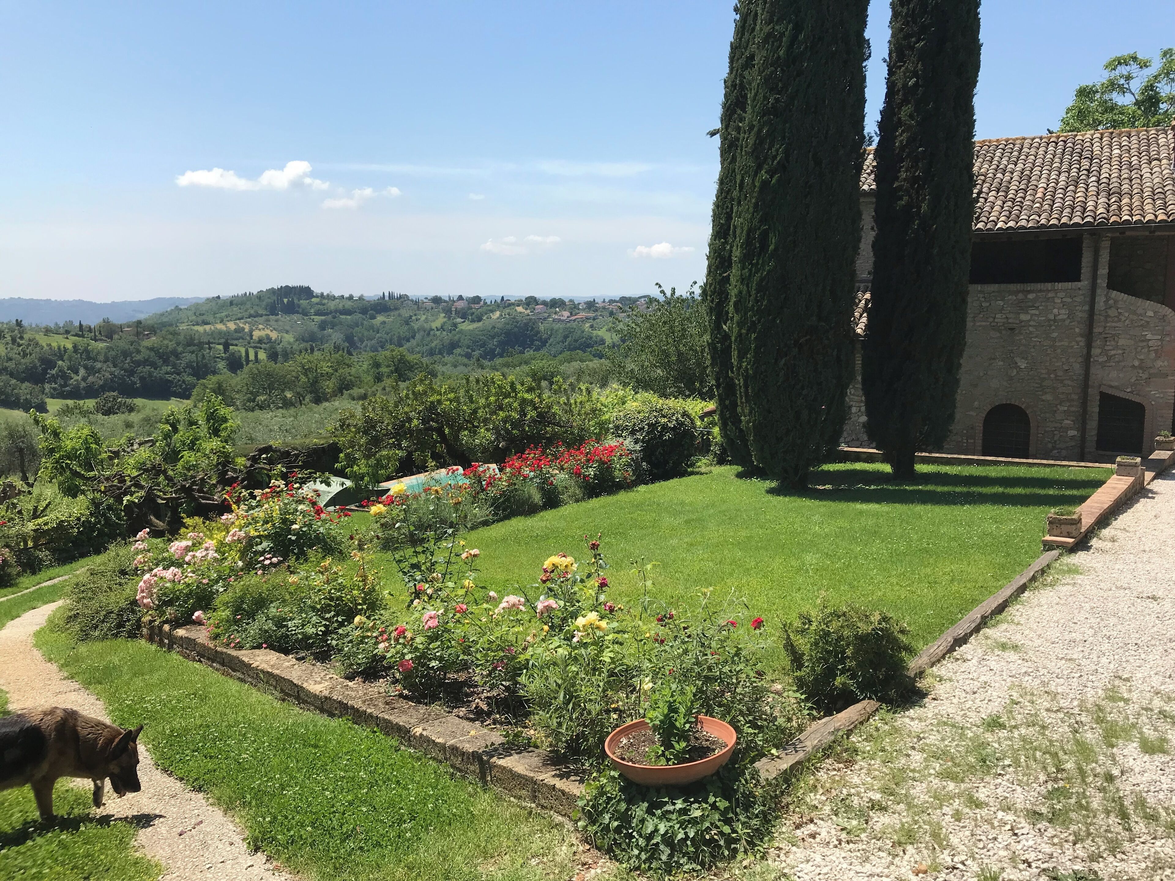 A garden with a pathway, a dog, and a stone building.