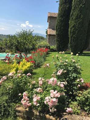 Jardines del alojamiento