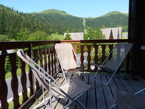 Property grounds - SUPER LIORAN INDIVIDUAL CHALET COMFORTABLE 8 BEDS (Laveissière)