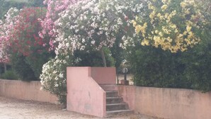Eine Betonstiege führt zu einer rosafarbenen Struktur, umgeben von blühenden Bäumen in Rosa, Weiß und Gelb.