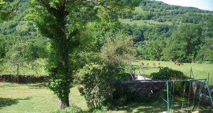AUBRAC VALLEE DU LOT (2 ETOILES)