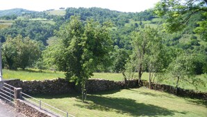 Un mur de pierres avec une rambarde métallique, un champ d’herbe et des arbres dans un paysage rural.