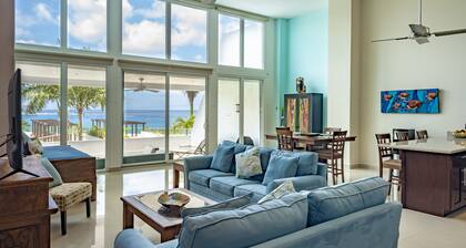 Palmars Most Stunning Large Oceanview Condo 18’ ceilings & windows. Beautiful!