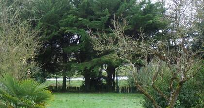 maison ancienne au coeur de sallertaine, jardin clos,commerces a pied