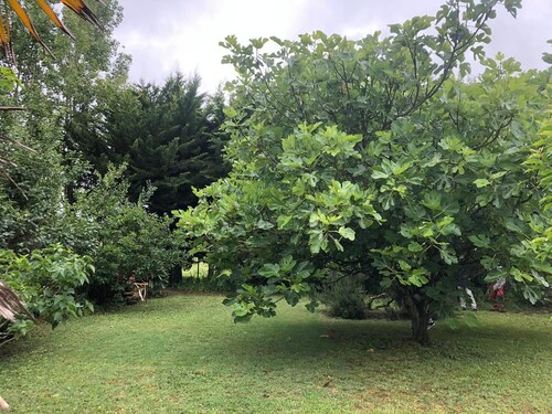 maison ancienne au coeur de sallertaine, jardin clos,commerces a pied