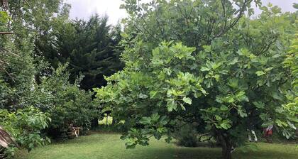 maison ancienne au coeur de sallertaine, jardin clos,commerces a pied