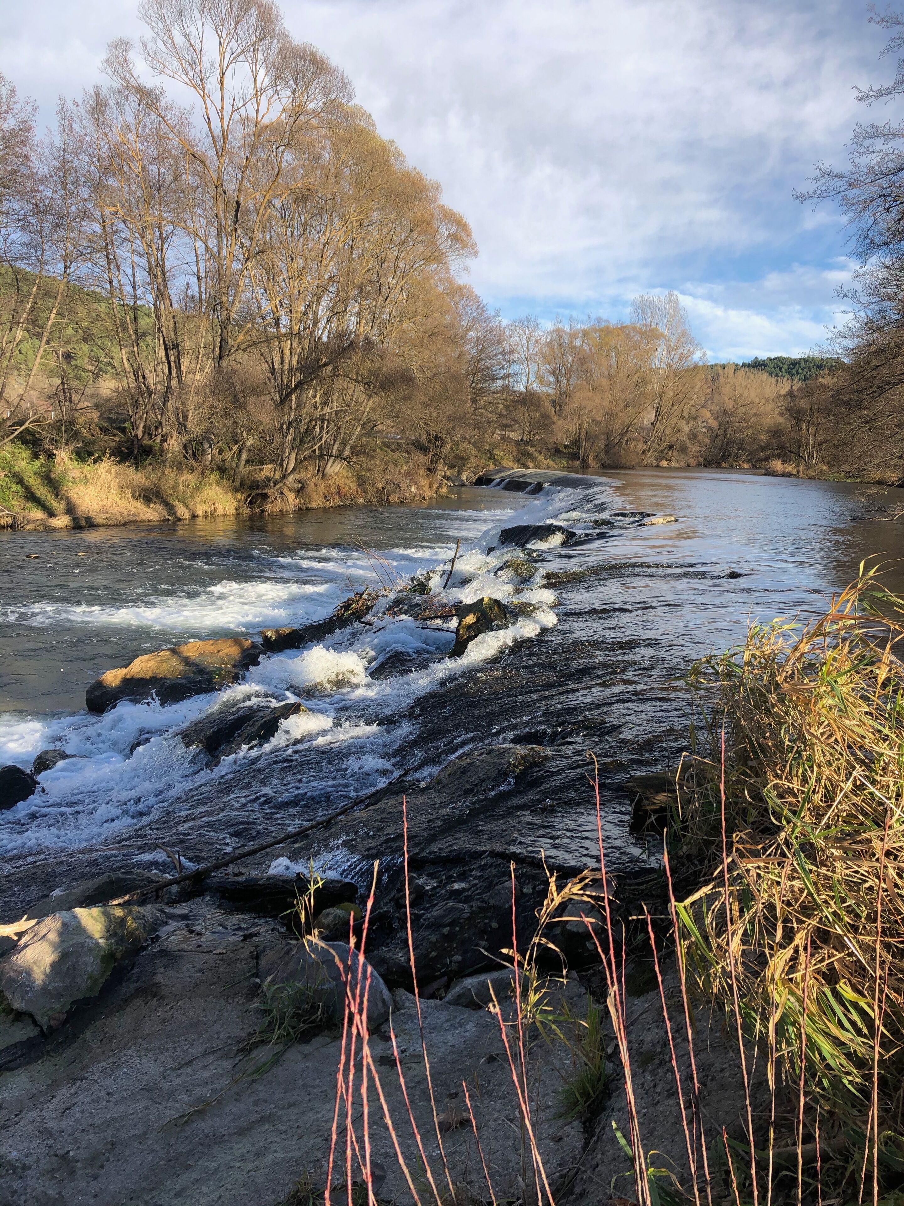 A river flowing through a forested area with rocky terrain and dry vegetation.