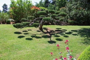 Terrain de l’hébergement 
