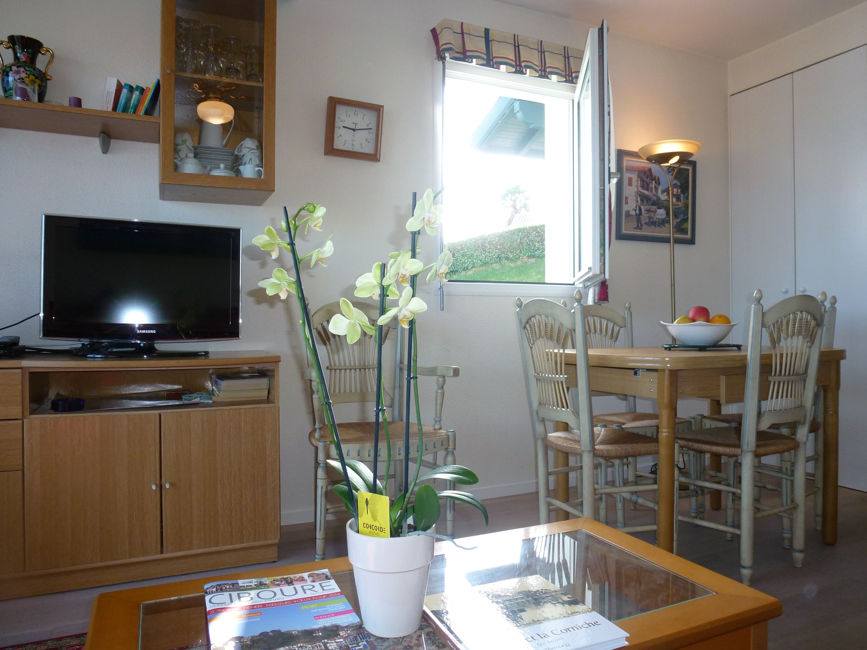 Un salon avec un téléviseur, une table à manger avec des chaises, une orchidée en pot et une fenêtre donnant sur un paysage verdoyant.