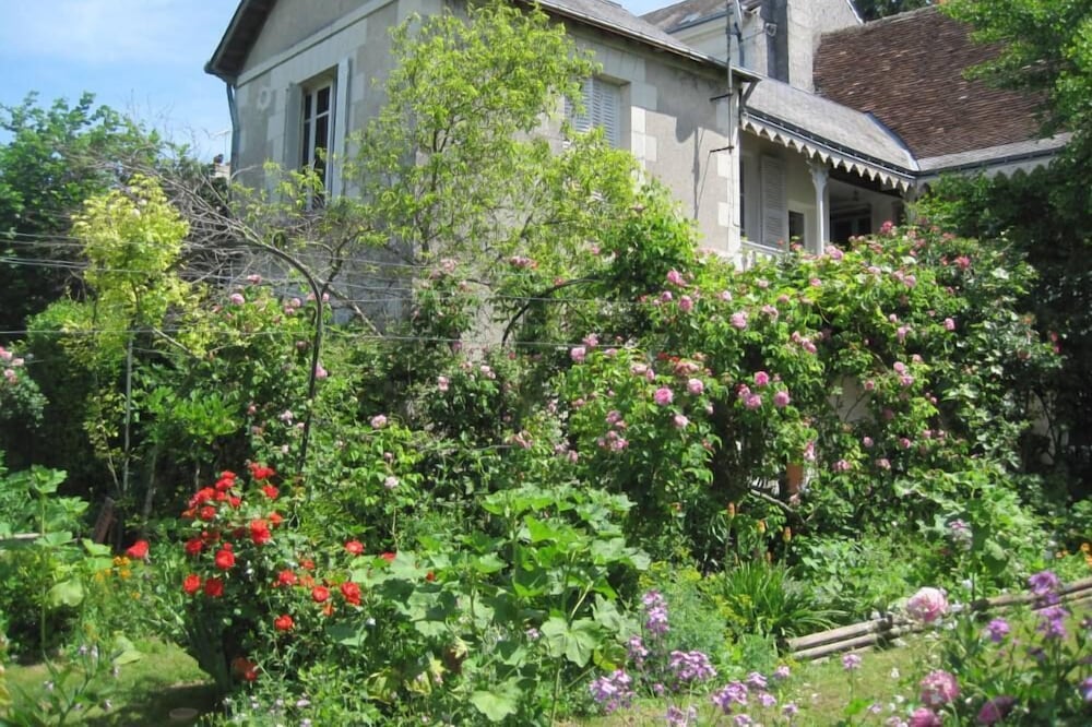 Apartment/ flat - Loches