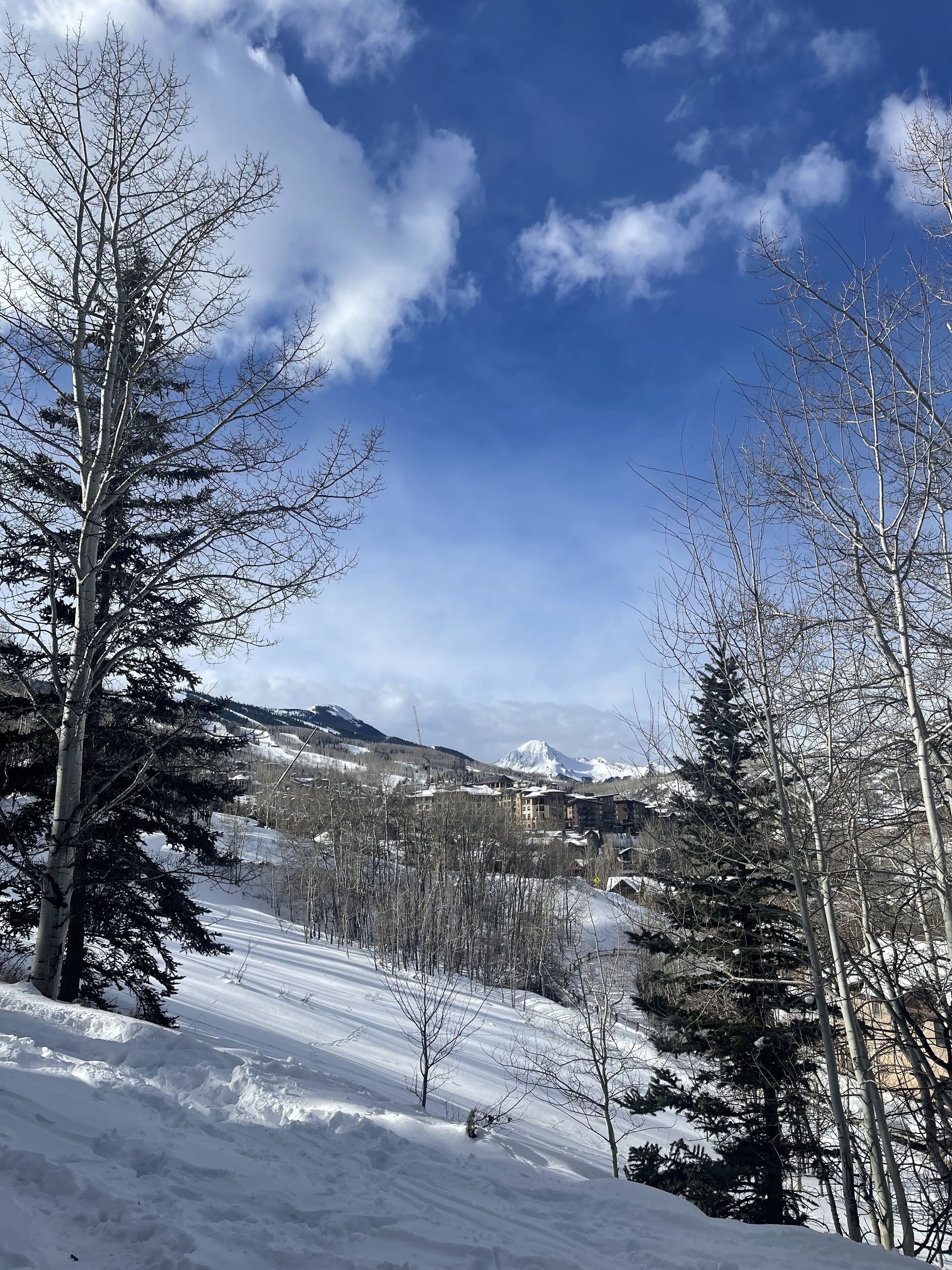Beautiful 3BR, 3BA in Snowmass Village - gorgeous Mt. Daly views!