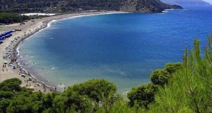 perheen asuinpaikka AIN EL TURCK ORAN 0033609246209