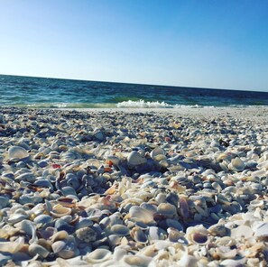 Sun-loungers, beach towels