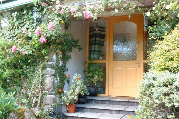 Roses around the door of the front door that opens into the courtyard garden