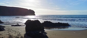 Gorgeous spacious cottage in pretty garden setting in Sunny South East Ireland!