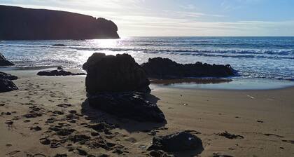 Gorgeous spacious cottage in pretty garden setting in Sunny South East Ireland!