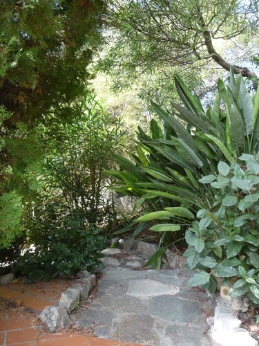 5mn des plages, Villa avec Piscine à Hyères, grand jardin.