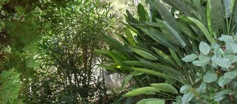 5mn from beaches, Villa with swimming pool in Hyères, large garden.