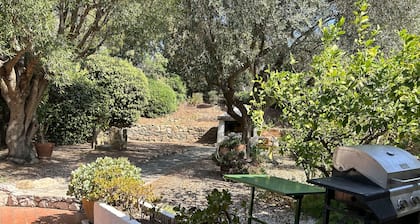 Villa mit Swimmingpool in Hyères