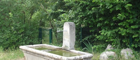 Jardines del alojamiento