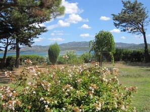 Property grounds - Cozy apartment by the sea with a large garden ideal for 2 people (Cannigione)