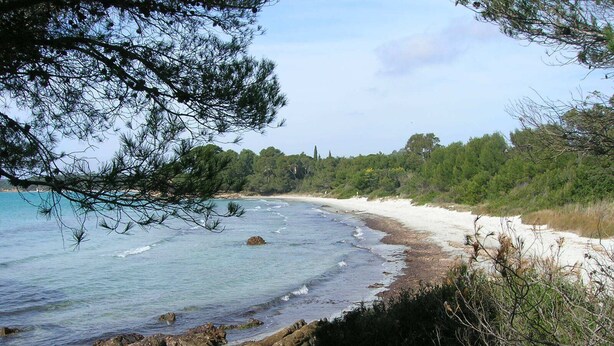 Un paysage côtier caractérisé par une plage de sable, une côte rocheuse et une végétation luxuriante.