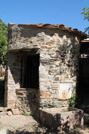 Detalle exterior