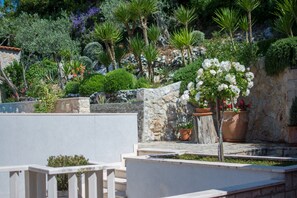 Um jardim com diversas plantas e um muro de pedra.