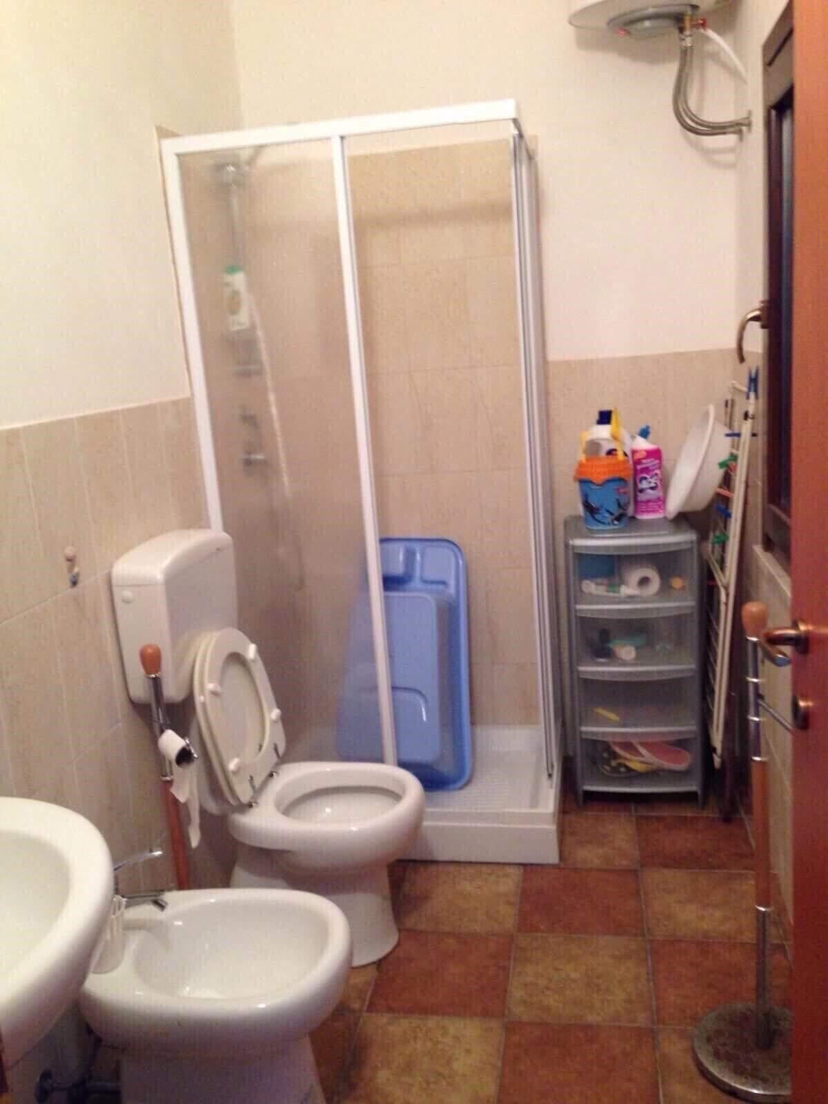 A summer house surrounded by olive trees in the area of Scopello 