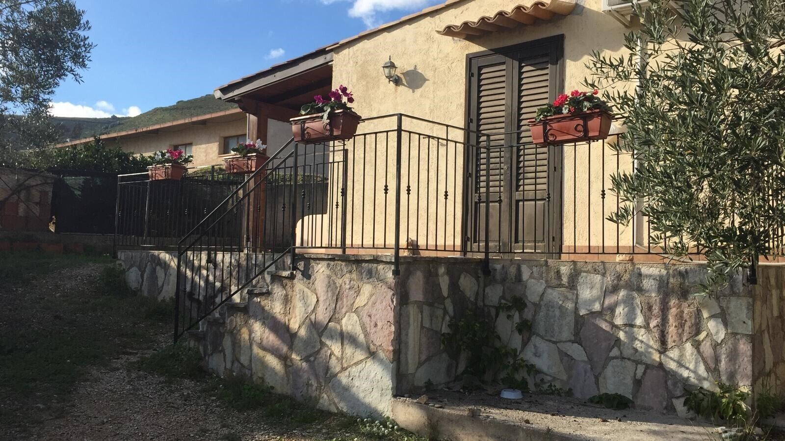 A summer house surrounded by olive trees in the area of Scopello 