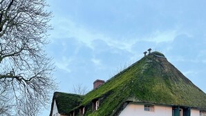 A white house with a thatched roof and a well-maintained lawn. - Dream house under thatch with fireplace, sauna, wellness room and lots of space (Poppenbüll)