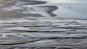 Chaises longues, serviettes de plage