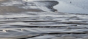 Dream house under thatch with fireplace, sauna, wellness room and lots of space