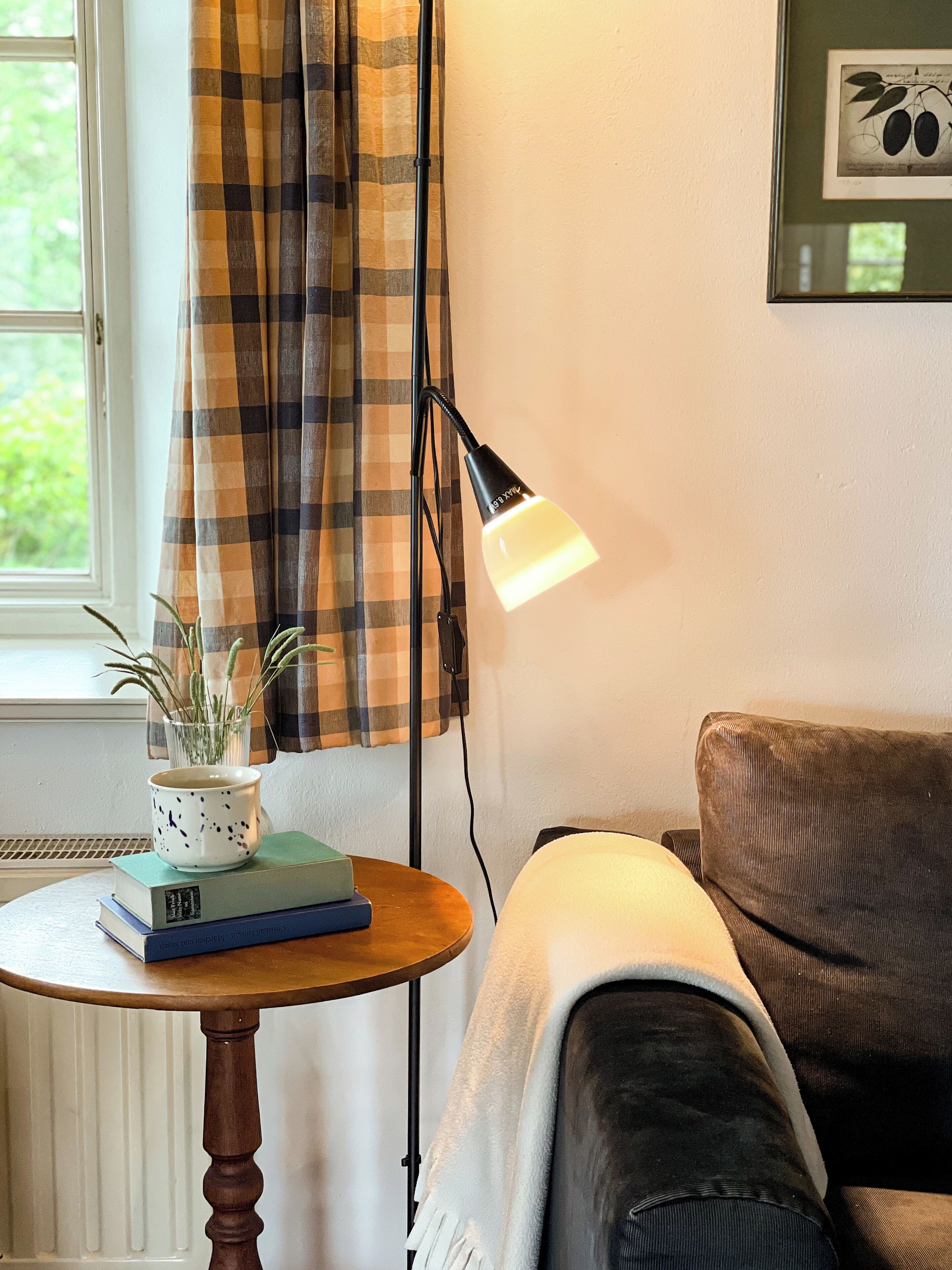 Une pièce avec une fenêtre, une lampe, une plante et un canapé.