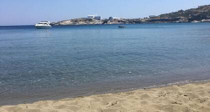 Artemonas: House with character