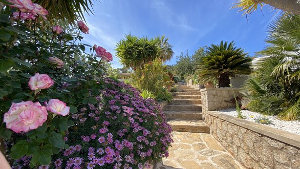 Una escalera de piedra que conduce a un jardín con rosas rosadas y flores púrpuras.